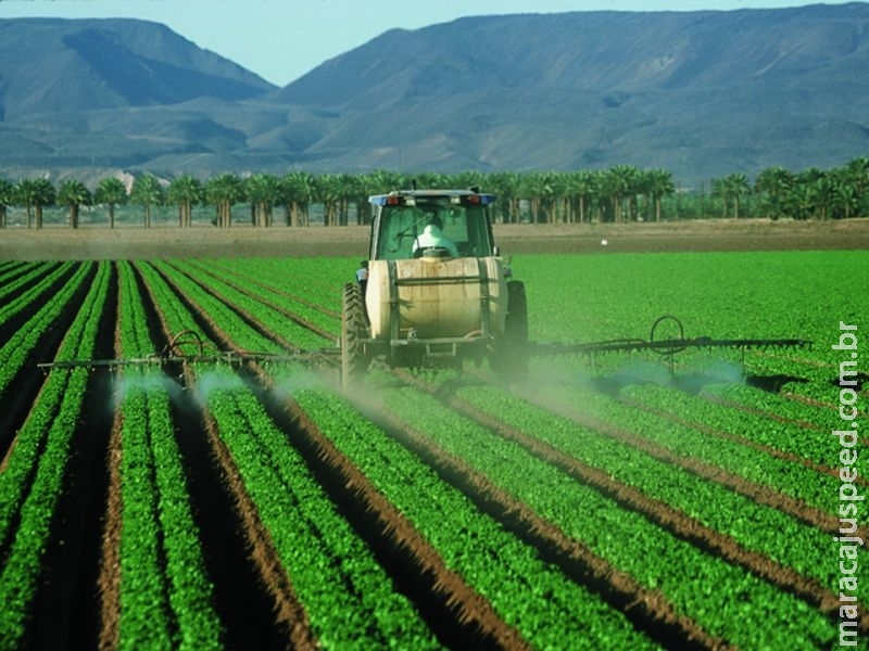 Valor Bruto da Produção agropecuária atinge melhor resultado em 40 anos