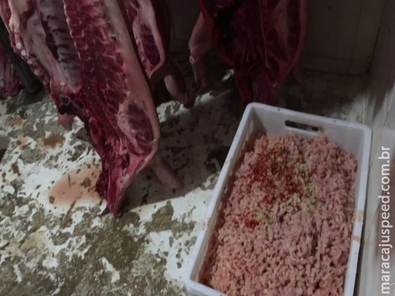 Ação prende duas pessoas e apreende oito toneladas de carnes clandestinas