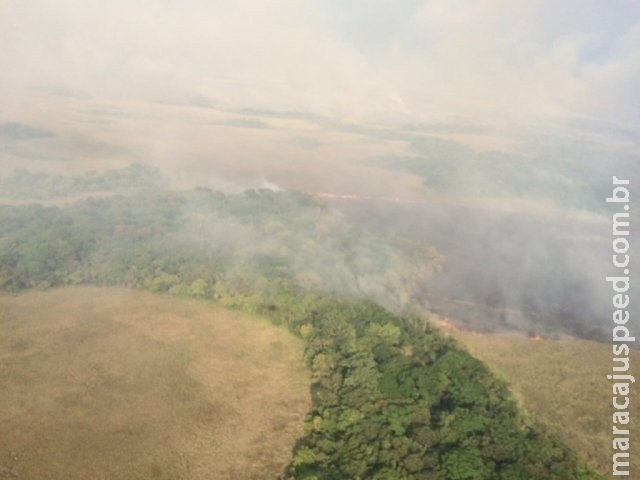 Bombeiros conseguem apagar incêndio em parque após 7 dias