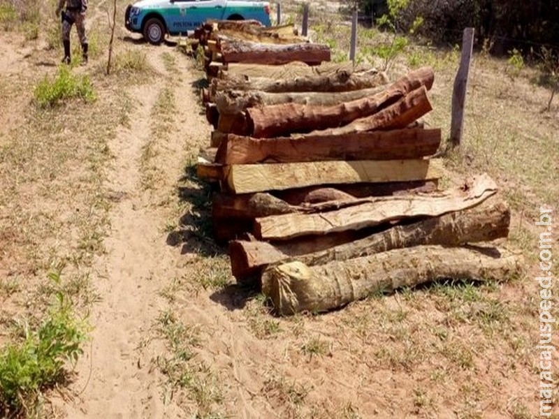 Fazendeiro é multado em R$ 18 mil por desmatamento e exploração ilegal de madeira Fazendeiro é multado em R$ 18 mil por desmatamento e exploração ilegal de madeira