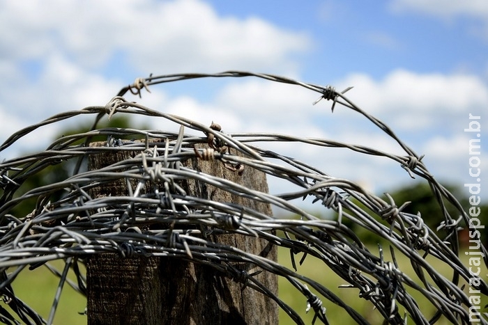 Fazendeiro tem prejuízo de R$ 200 mil após vizinho atear fogo em galhos