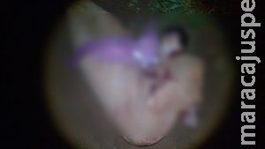 Jovem é encontrado decapitado em Campo Grande; 2º caso em uma semana