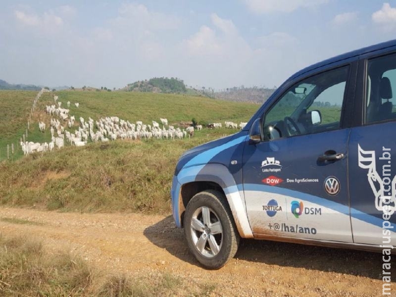 Mato Grosso do Sul recebe 3ª edição da Caravana da Produtividade, ação que leva mais produtividade aos pecuaristas de corte e leite Mato Grosso do Sul recebe 3ª edição da Caravana da Produtividade, ação que leva mais produtividade aos pecuaristas de corte e leite