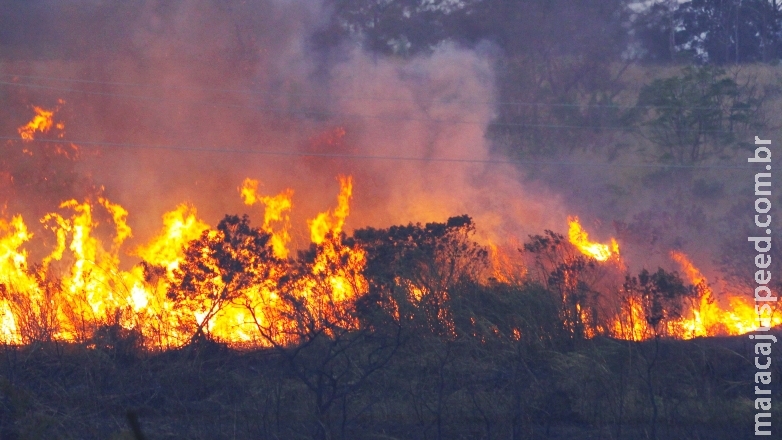 VÍDEO: bombeiros de 4 cidades combatem incêndio em parque estadual de MS