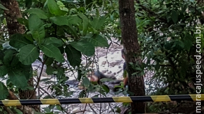 Cabeça de corpo desovado em cachoeira pode ter sido enterrada, diz polícia 