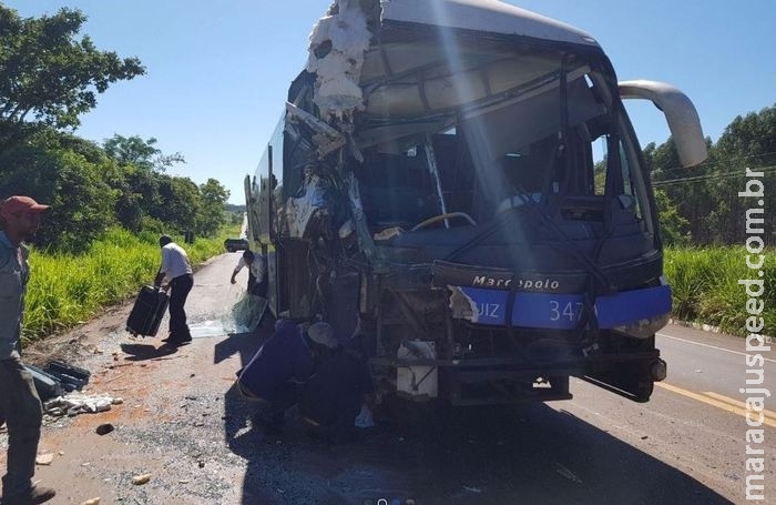 Colisão entre ônibus de viagem e carreta deixa 14 feridos na BR-262