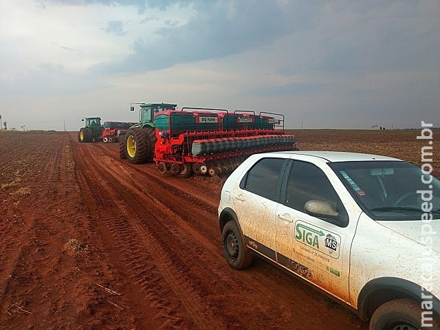 Com chuvas, plantio da soja avança em MS e chega a 60% da área Com chuvas, plantio da soja avança em MS e chega a 60% da área