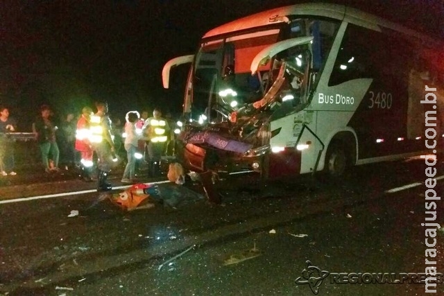 Motorista de ônibus morre após colidir contra carreta carregada com madeira
