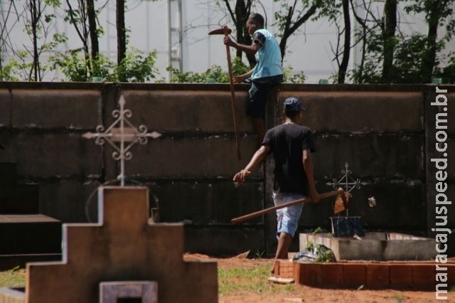 MPE flagra cerca de 50 crianças trabalhando em cemitérios da Capital MPE flagra cerca de 50 crianças trabalhando em cemitérios da Capital