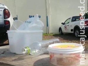 Quando o assunto é dengue, o maior perigo está dentro de casa Quando o assunto é dengue, o maior perigo está dentro de casa
