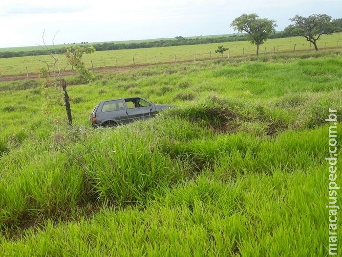 Abelhas invadem carro e fazem motorista tombar veículo na rodovia