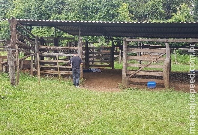 Após discussão, homem esfaqueia esposa e se mata na frente dela