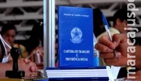 Desemprego volta a cair e taxa chega a 12% em novembro, diz IBGE Desemprego volta a cair e taxa chega a 12% em novembro, diz IBGE