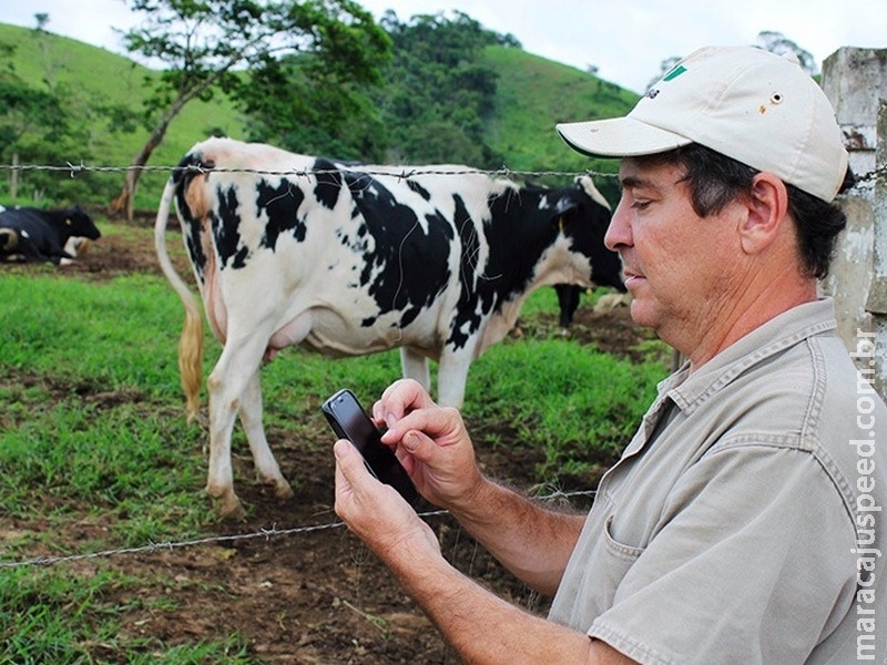 Embrapa lança aplicativo para gerenciamento de fazendas leiteiras Embrapa lança aplicativo para gerenciamento de fazendas leiteiras