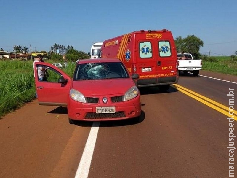 Estudante de 13 anos é atropelado em rodovia e fica em estado grave