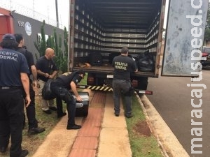 Flagrado com arma e dinheiro falso, Playboy da Mansão" continua preso Flagrado com arma e dinheiro falso, Playboy da Mansão" continua preso