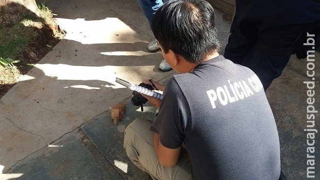 Mão é encontrada na calçada e filho é preso suspeito de esquartejar veterinária Mão é encontrada na calçada e filho é preso suspeito de esquartejar veterinária