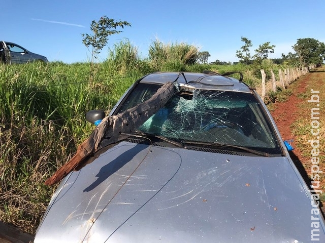 Motorista dorme ao volante e carro bate em cerca às margens de rodovia em MS