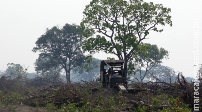 MS é o segundo no país em qualidade do licenciamento ambiental, aponta pesquis MS é o segundo no país em qualidade do licenciamento ambiental, aponta pesquis