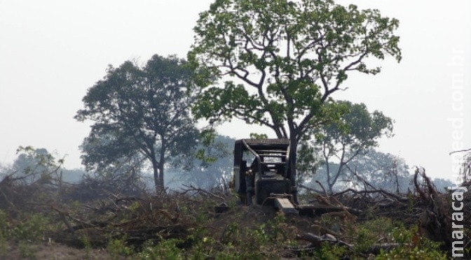 MS é o segundo no país em qualidade do licenciamento ambiental, aponta pesquis