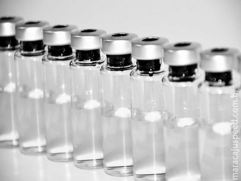 Vacina da dengue: qual é a recomendação? Vacina da dengue: qual é a recomendação?