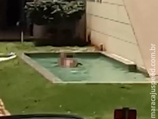 Advogado filma casal ‘namorando’ no espelho d’água da Central do Cidadão Advogado filma casal ‘namorando’ no espelho d’água da Central do Cidadão
