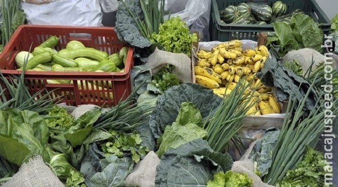 Agricultura familiar tem até o dia 8 para aderir ao programa da merenda escolar