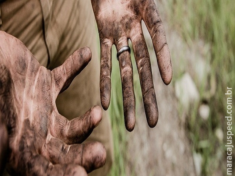 Brasil avança no combate ao trabalho escravo