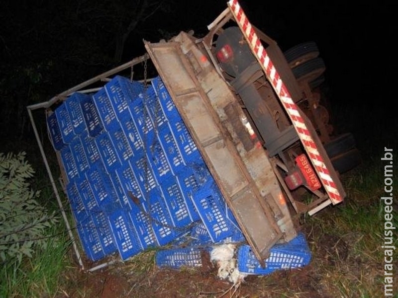 Caminhão com frangos vivos tomba na MS-276 e deixa uma pessoa ferida
