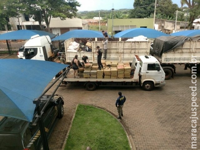 Carregamento de maconha sai de MS, é apreendido e bate recorde no PR