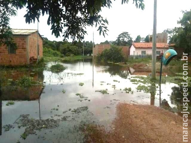 Com 79 milímetros de chuva em 4 dias, nível do rio Miranda preocupa Com 79 milímetros de chuva em 4 dias, nível do rio Miranda preocupa