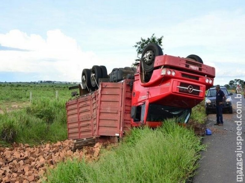 Condutor tenta desviar de tamanduá e caminhão com tijolos tomba em rodovia