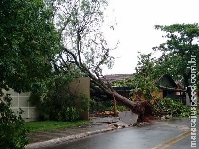 Governo confirma situação de emergência em 7 cidades por causa da chuva