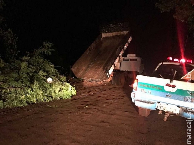Homem é multado em R$ 5 mil por jogar galhos de árvores em rua de Campo Grande