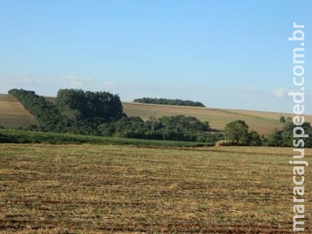 Intensificação sustentável na agricultura é tema de projetos de pesquisa