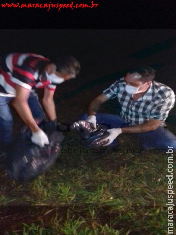 Maracaju: Macaco encontrado morto será encaminhado para o Centro de Controle de Zoonoses (CCZ) em Campo Grande para análise Maracaju: Macaco encontrado morto será encaminhado para o Centro de Controle de Zoonoses (CCZ) em Campo Grande para análise