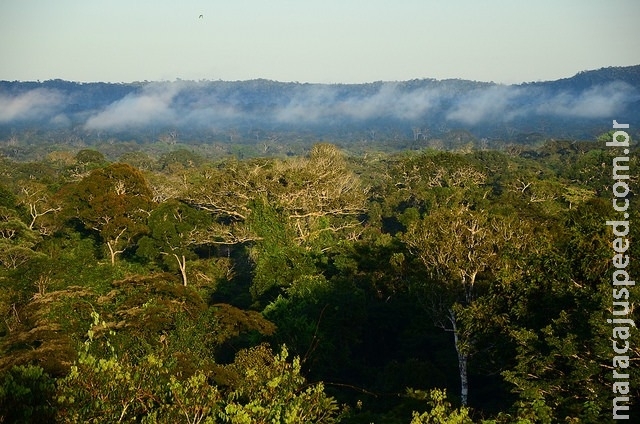 Ministério do Meio Ambiente discute acordos para setor produtivo Ministério do Meio Ambiente discute acordos para setor produtivo