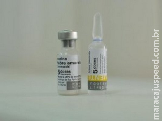 Paraguai exige comprovação de vacina contra a febre amarela de brasileiros