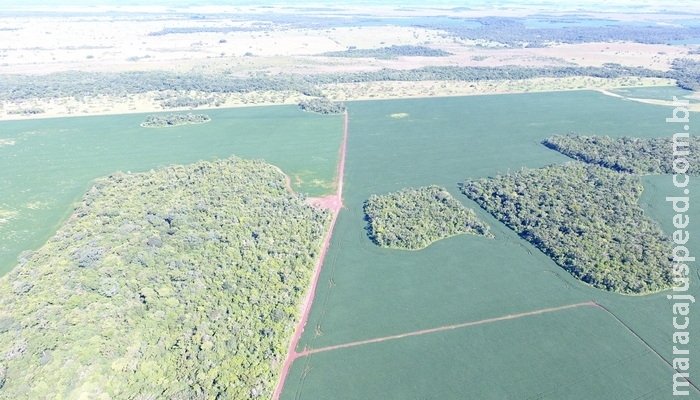 PMA autua em R$ 28 mil produtor rural por desmatamento ilegal de 93,5 hectares de vegetação nativa 