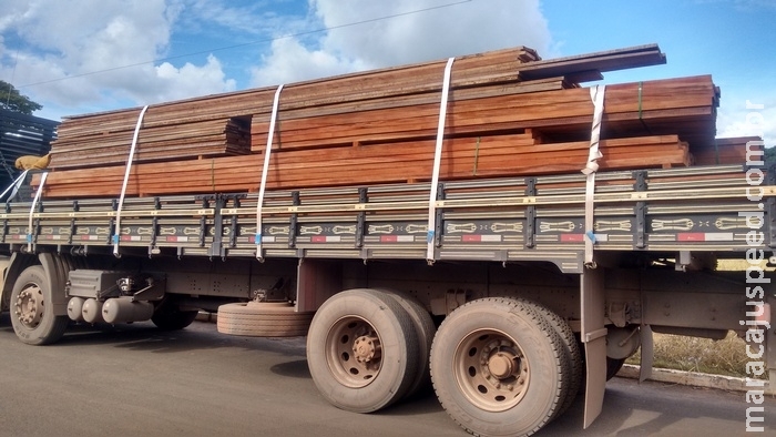 PMA autua em R$ 6 mil empresa goiana com carga de madeira ilegal apreendida pela PRF