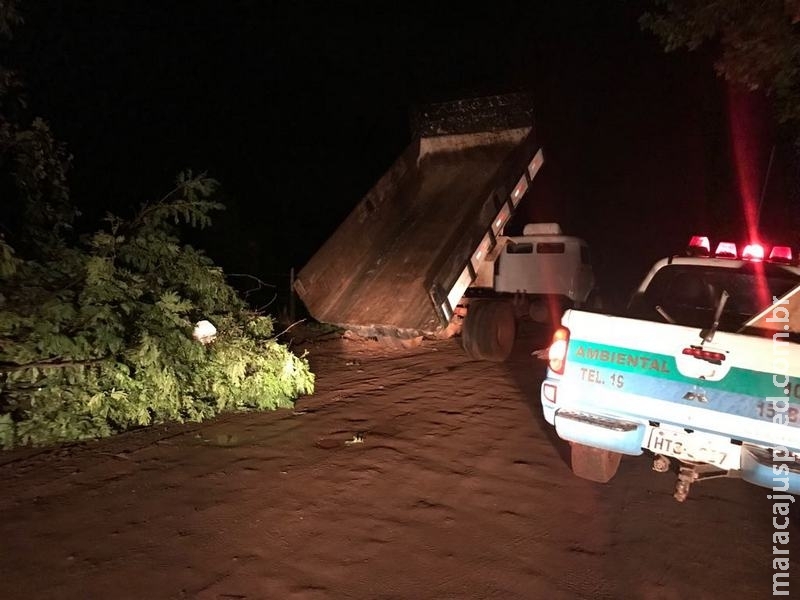 PMA autua infrator em R$ 5 mil por despejar resíduos de poda de árvores em via pública PMA autua infrator em R$ 5 mil por despejar resíduos de poda de árvores em via pública