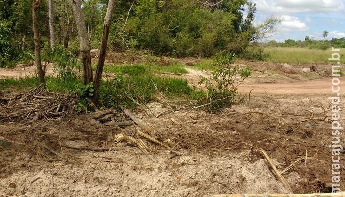 PMA autua pecuarista em R$ 5 mil por desmatamento de área protegida de mata ciliar de córrego PMA autua pecuarista em R$ 5 mil por desmatamento de área protegida de mata ciliar de córrego