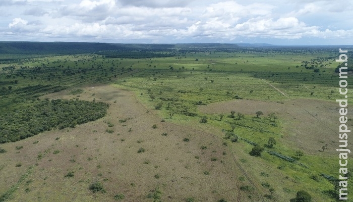 PMA de Coxim autua fazendeiro em R$ 159 mil por desmatamento ilegal de 159 hectares em vistoria realizada durante a operação Cervo-do-Pantanal