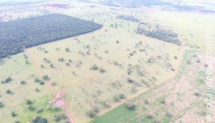 PMA de Jardim autua em R$ 6 mil, nono fazendeiro por desmatamento ilegal em vistorias realizadas na operação Cervo-do-Pantanal