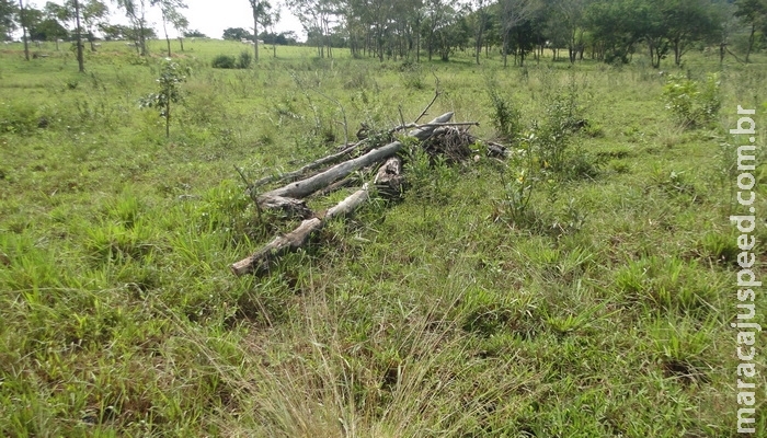 PMA de Jardim autua oitavo fazendeiro por desmatamento ilegal em vistorias realizadas na operação Cervo-do-Pantanal