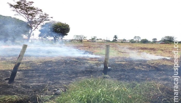 PMA flagra e autua em R$ 5 mil infrator realizando incêndio para limpeza de terreno em perímetro urbano PMA flagra e autua em R$ 5 mil infrator realizando incêndio para limpeza de terreno em perímetro urbano