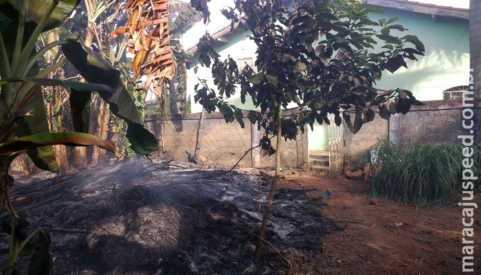 PMA flagra professora realizando incêndio em resíduos em terreno e lhe aplica multa de R$ 1,5 mil