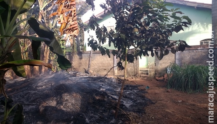 PMA flagra professora realizando incêndio em resíduos em terreno e lhe aplica multa de R$ 1,5 mil PMA flagra professora realizando incêndio em resíduos em terreno e lhe aplica multa de R$ 1,5 mil