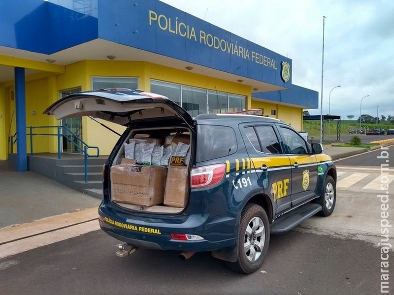  PRF apreende 150 kg de agrotóxico proibido no Brasil em ônibus na BR-163