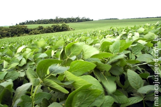Redução da emissão de carbono na agricultura de MS é assunto do Showtec 2018 Redução da emissão de carbono na agricultura de MS é assunto do Showtec 2018
